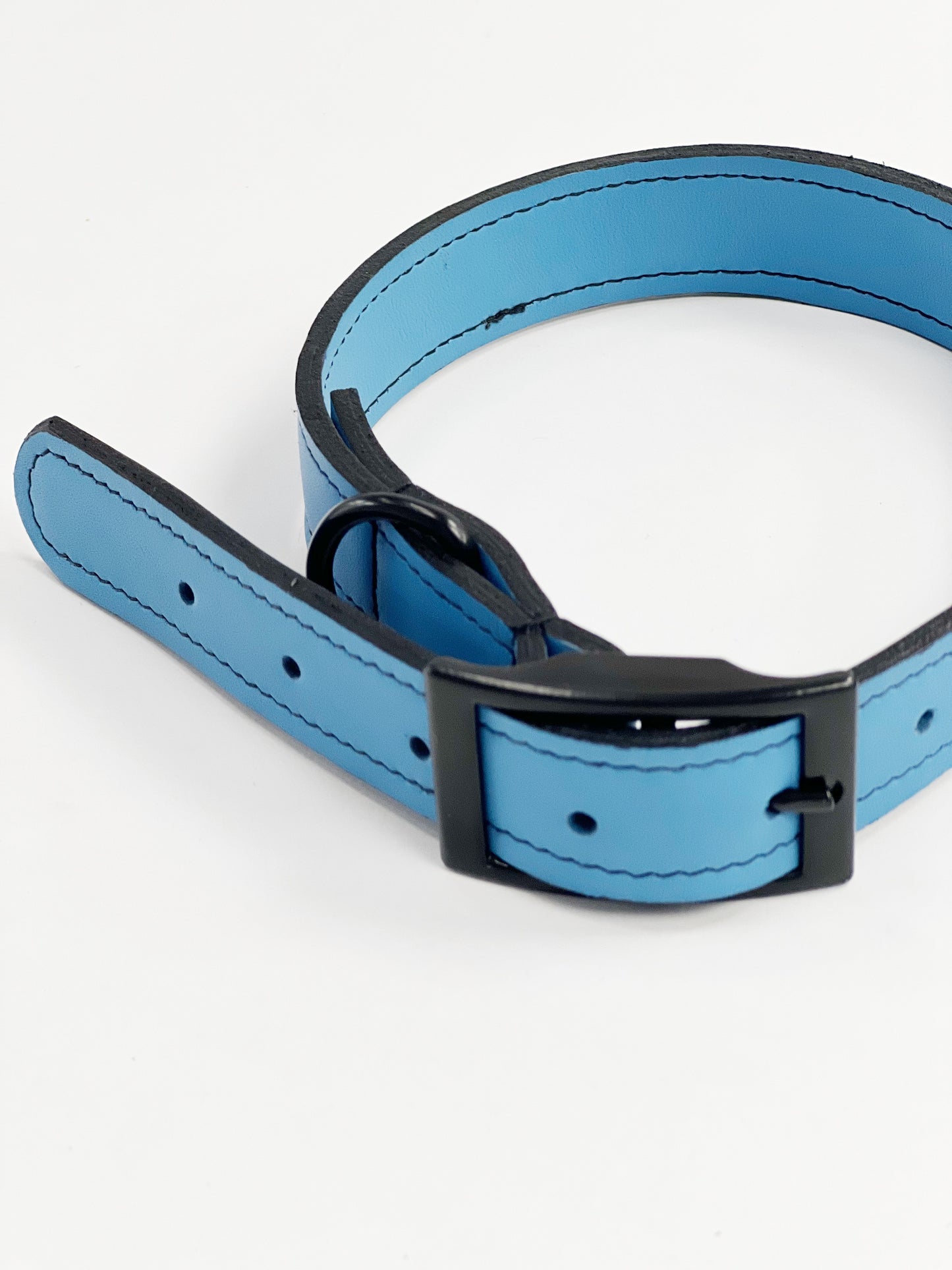 blue leather dog's collar