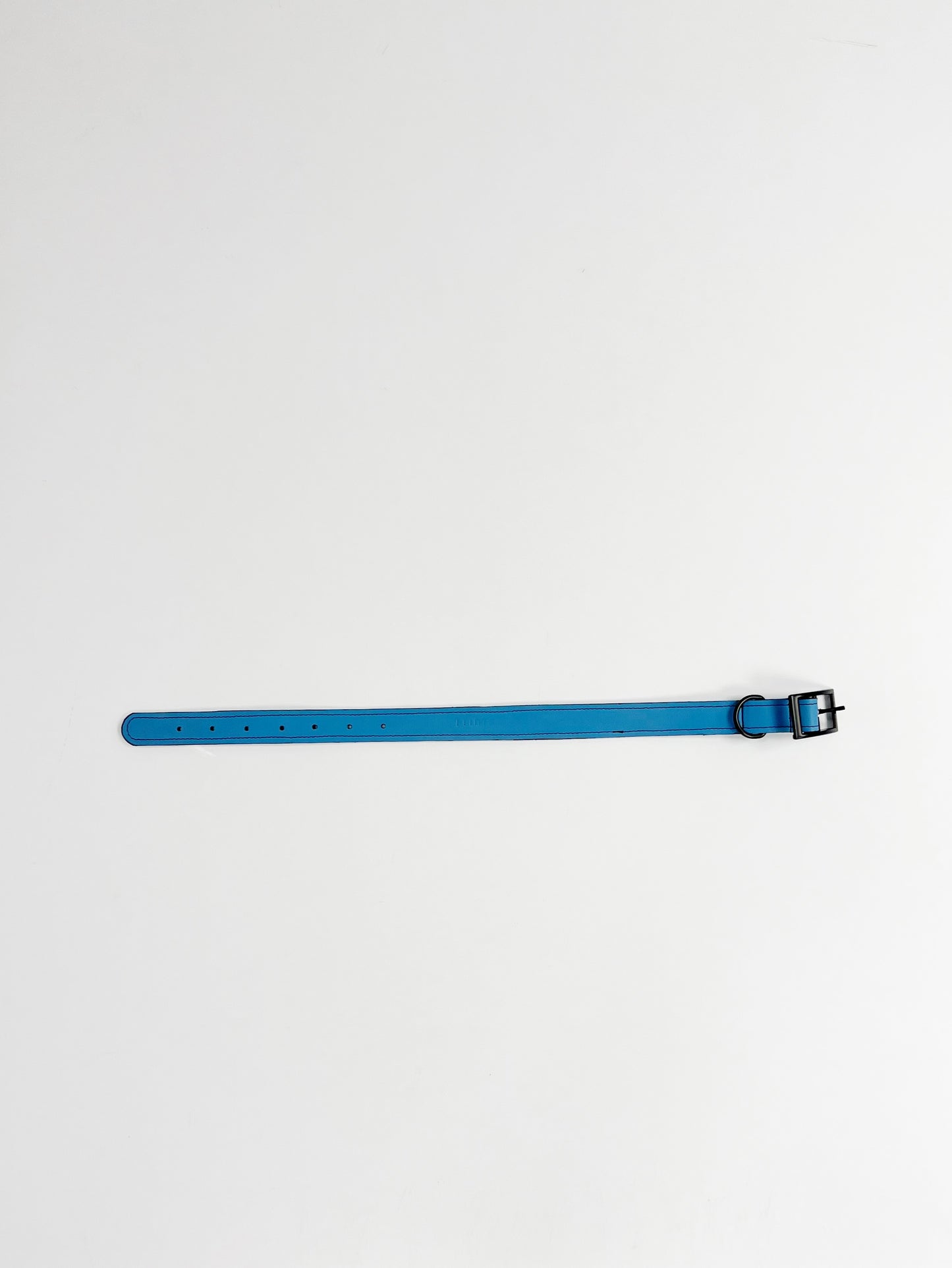 blue leather dog's collar