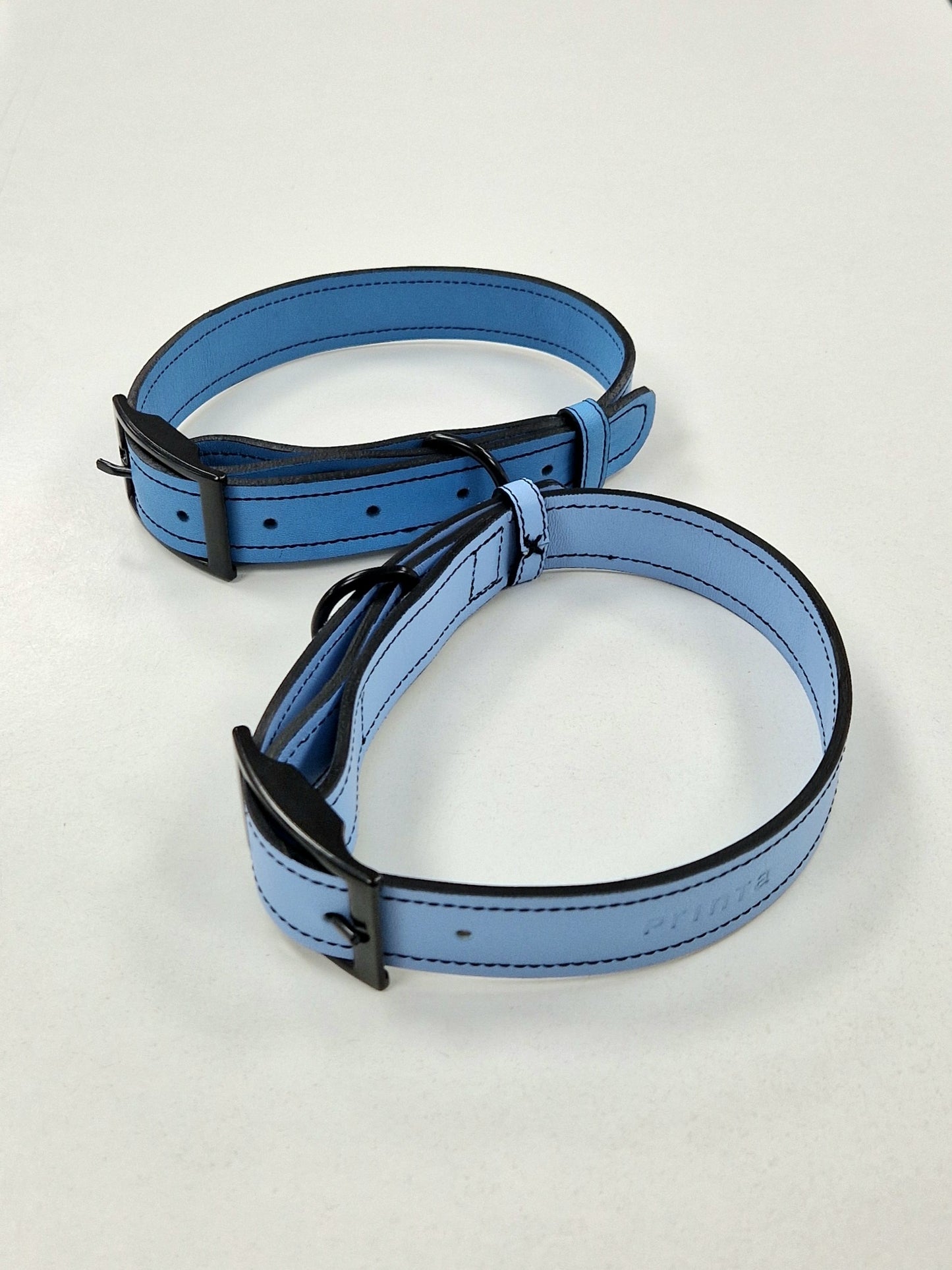 blue leather dog's collar